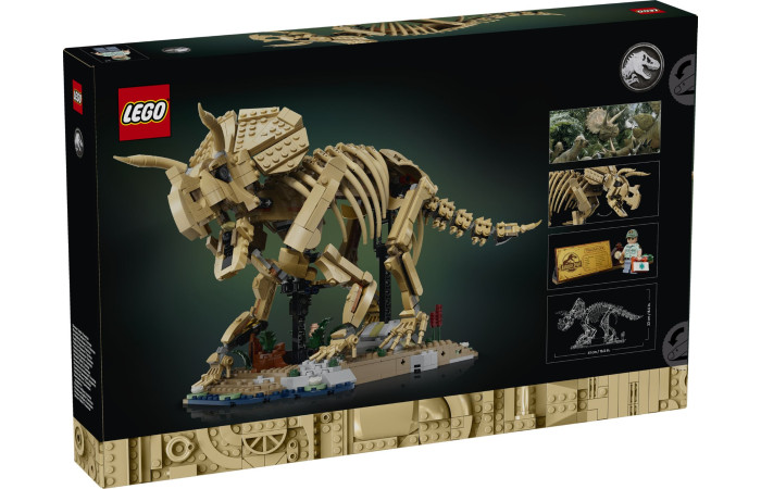 Конструктор LEGO Jurassic World Окаменелости динозавра: трицератопс (77985).