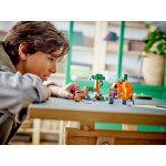 Конструктор LEGO Minecraft Гарбузова ферма (21248).