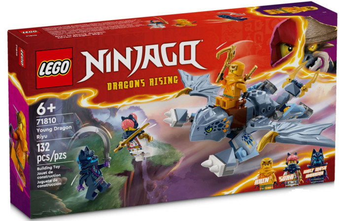 Конструктор LEGO NINJAGO Молодий дракон Рію (71810).