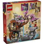 Конструктор LEGO NINJAGO Храм Драконячого Каменя (71819).