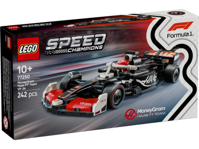 MoneyGram Haas F1 Team VF-24