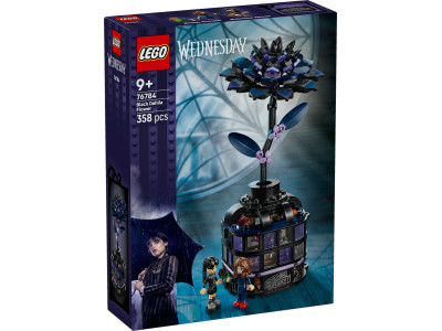 Чорний жоржин